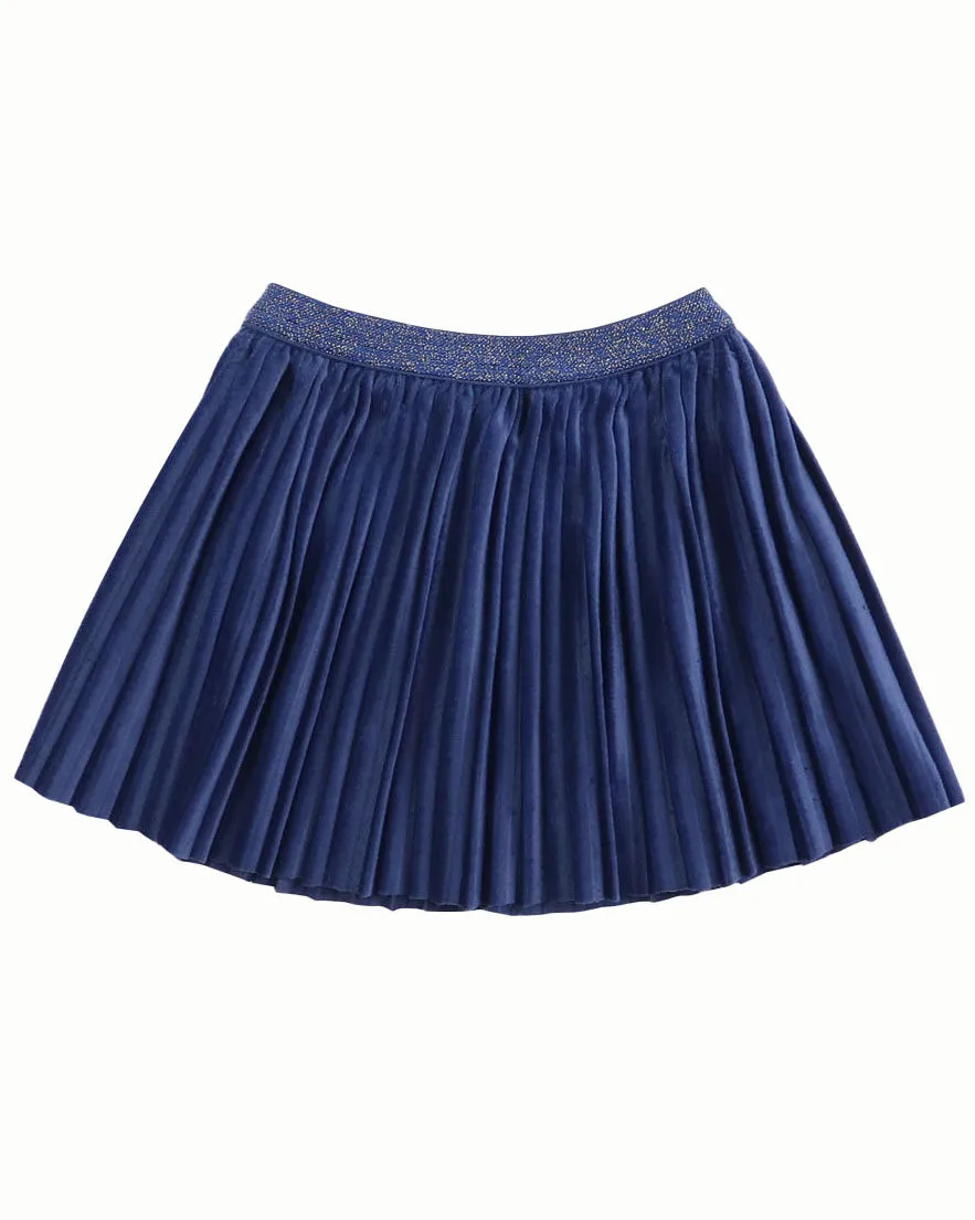 GINGERSNAPS Baby Velvet Pleated Skirt with Metallic Elastic Waistband