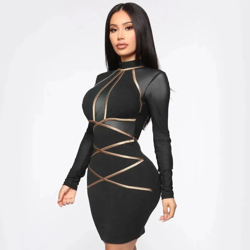 Mesh Hollow Out Long Sleeve Mini Dress