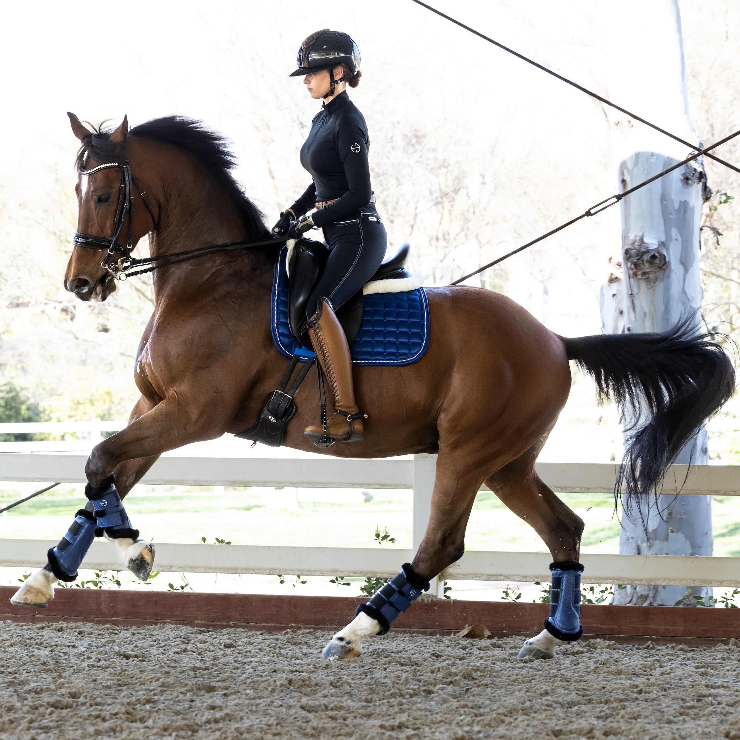 Molly - Black with White Piping Mid Waist Full Seat Breeches