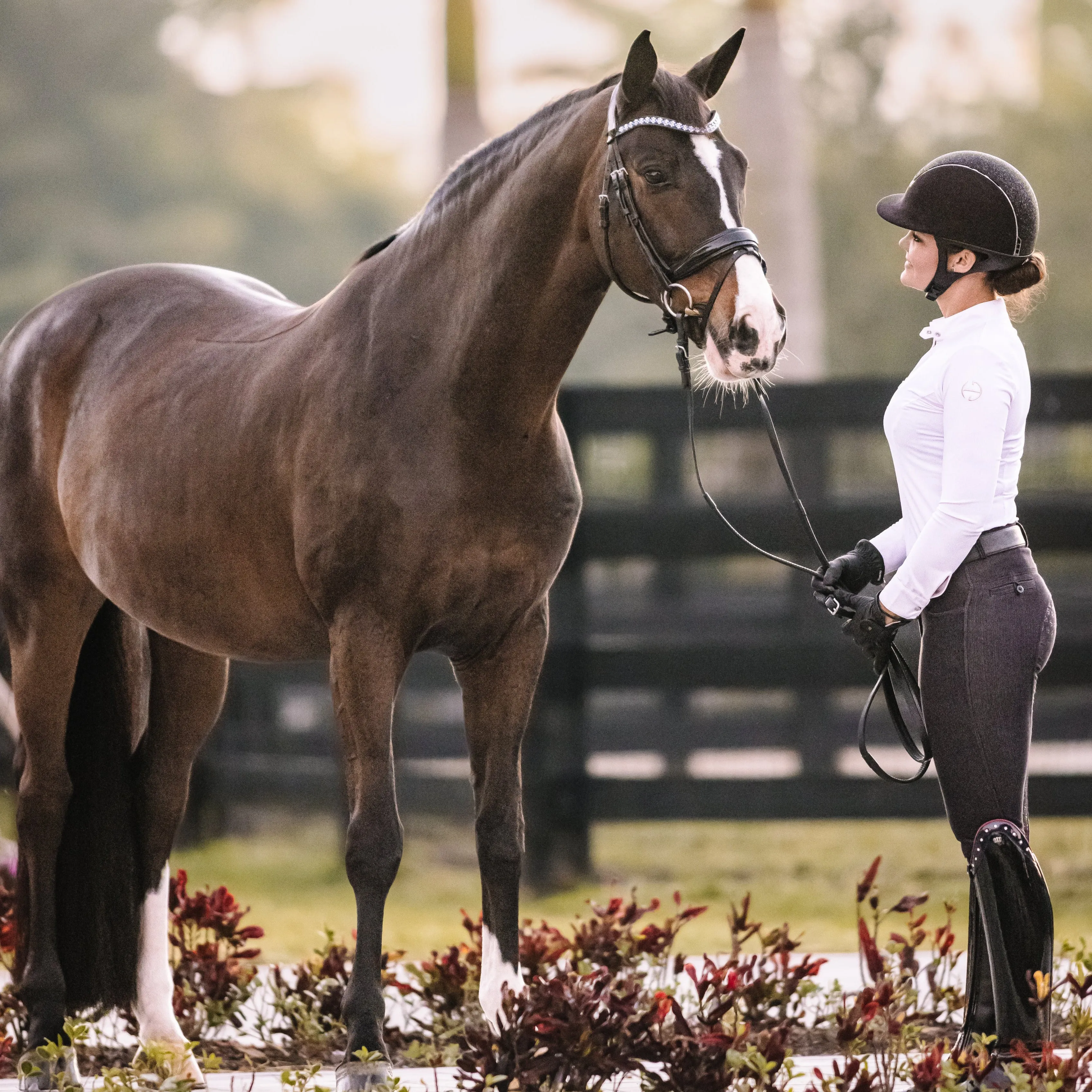 Sarah Full Seat Denim Breeches