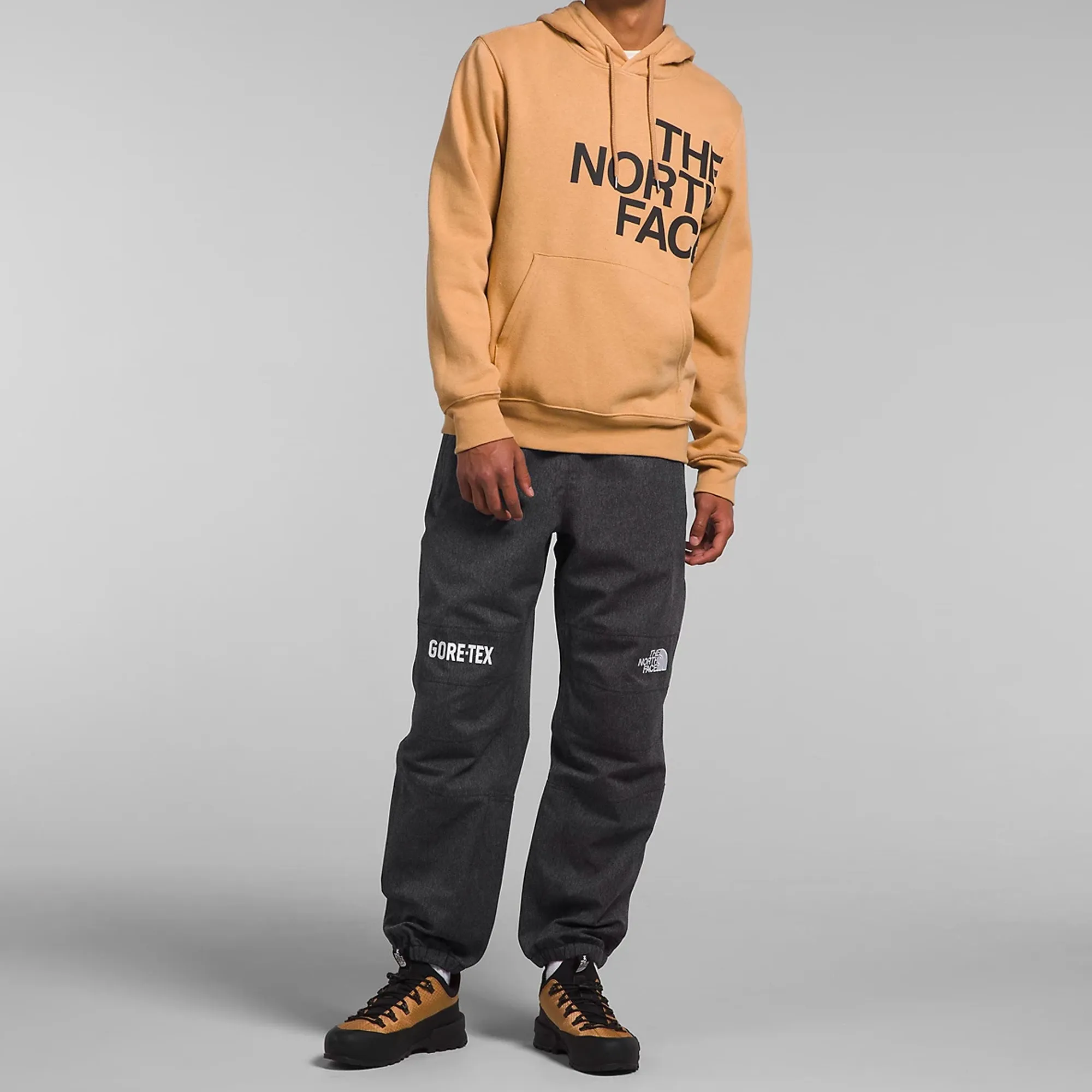 The North Face Mens GTX Mountain Pants